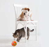 Interactive Automatic Cat Toy Ball USB Rechargeable Self-Rolling