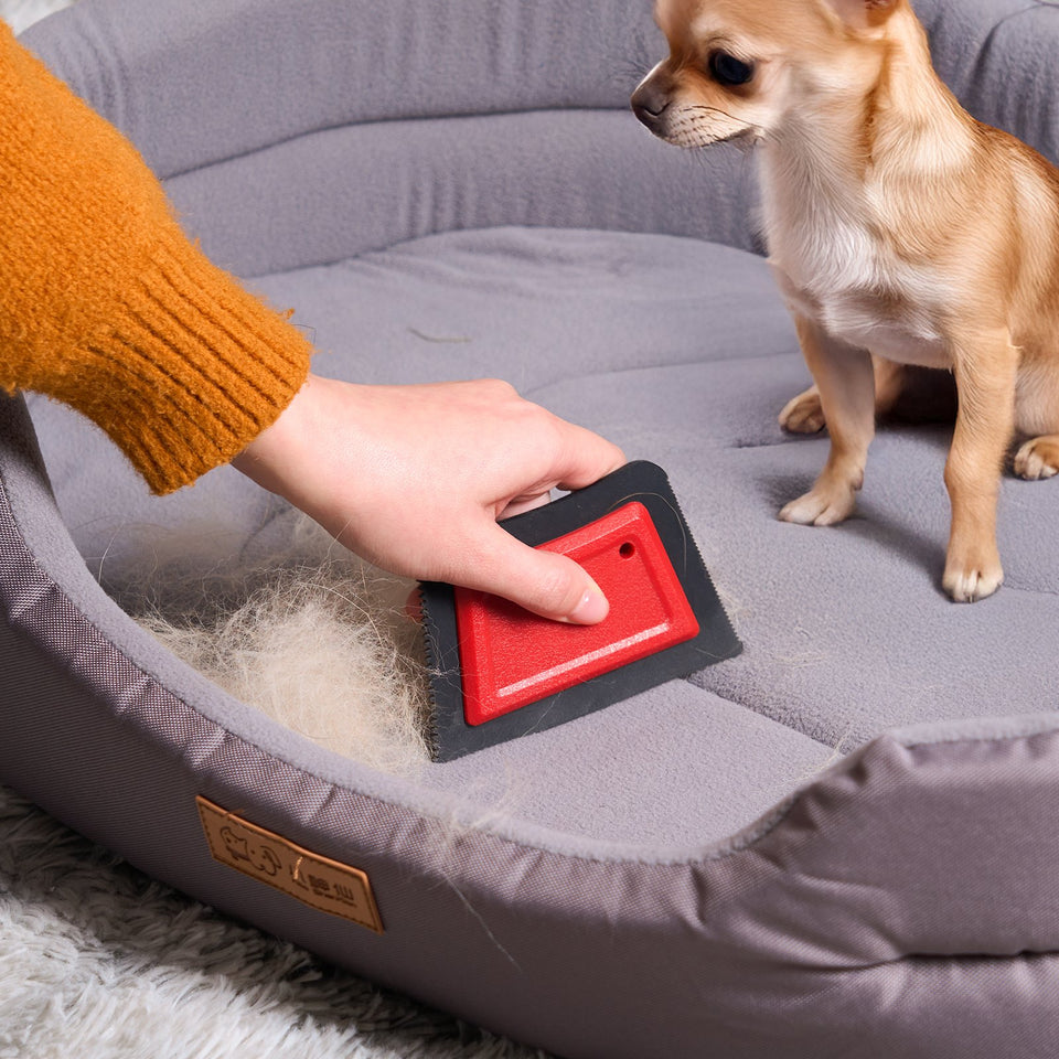 Small Tool, Big Difference — Remove Pet Hair Anywhere

Pet hair doesn’t belong on your clothes, couch, or carpets. This mini reusable pet hair remover is your quick, mess-free solution to keep every surface clean. Compact, powerful, and easy to use — it’s perfect for everyday touch-ups at home or on the go.

✅ Key Benefits
Instant Hair Removal – Quickly lifts pet hair, lint, and dust from furniture and fabrics.
Compact & Travel-Friendly – Mini size fits in your bag, car, or drawer for easy access anytime.