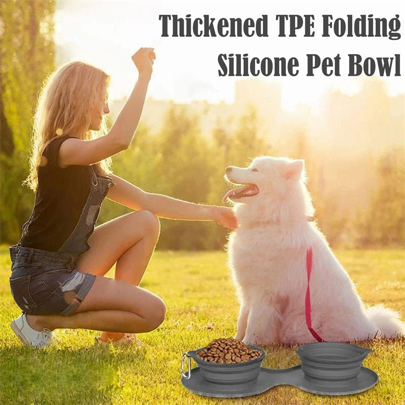 Collapsible Double Pet Bowl with Mat – Travel Dog & Cat Feeder