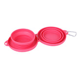 Collapsible Double Pet Bowl with Mat – Travel Dog & Cat Feeder