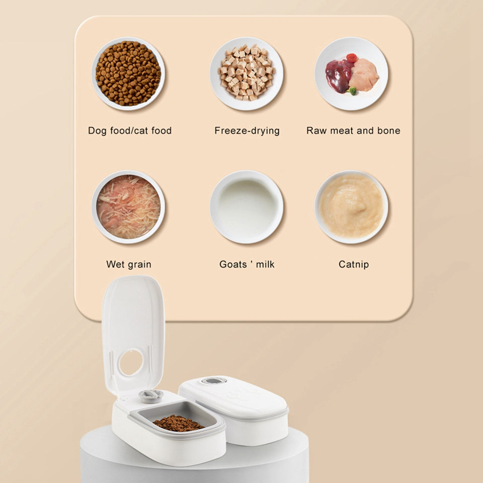 Pet food and water automatic dispenser