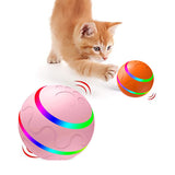 Cat playing with interactive exercise ball