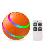 USB rechargeable smart cat toy