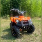 Anaheim Ducks Limited Edition 800W E ATV 72HR SALE - Image 11