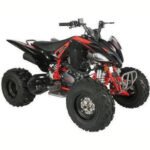 Vitacci Pentora 250 ATV for Sale