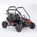 200 WOLF Fully Automatic kid's GO KART - Image 2