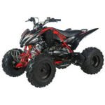 2025 ODES PENTORA EFI SPORT 176cc FULLY AUTOMATIC ATV - Image 7