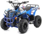 MINI COMMANDER 110CC AUTOMATIC ATV