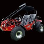 TrailMaster 200E XRX Go Kart