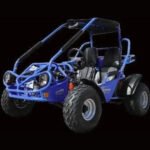 TrailMaster 200 XRS Go Kart