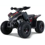 TRAILHAWK YOUTH 10 120cc Automatic with Reverse - Image 2