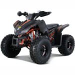 TRAILHAWK YOUTH 10 120cc Automatic with Reverse