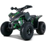 TRAILHAWK YOUTH 10 120cc Automatic with Reverse - Image 3