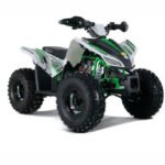 TRAILHAWK YOUTH 10 120cc Automatic with Reverse - Image 5