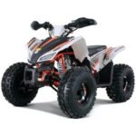 TRAILHAWK YOUTH 10 120cc Automatic with Reverse - Image 4