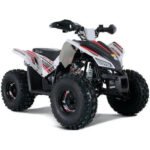 TRAILHAWK YOUTH 10 120cc Automatic with Reverse - Image 6