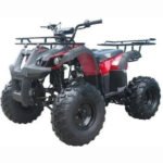 T125 TFORCE AUTOMATIC ATV - Image 7