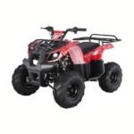 D125 Automatic ATV with Reverse