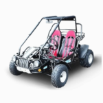 TM BOBCAT 300 XRS GO KART BUGGY - Image 4
