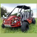 TM BOBCAT EFI 300 XRS4 Go Kart Trailmaster 300cc CVT Automatic with Reverse - Image 4