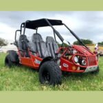 TM BOBCAT EFI 300 XRS4 Go Kart Trailmaster 300cc CVT Automatic with Reverse - Image 6