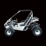 TrailMaster 300XRSE 300cc EFI Go Kart Power