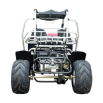 TrailMaster 300XRSE 300cc EFI Go Kart Power - Image 5