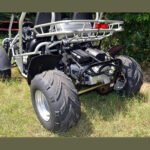 TrailMaster 300XRSE 300cc EFI Go Kart Power - Image 11