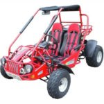 TrailMaster 300XRSE 300cc EFI Go Kart Power - Image 10