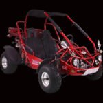TrailMaster 300 XRX-E Go Kart