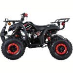TrailMaster B125 Utility (8” Wheel) - Image 7