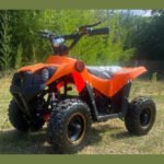 Anaheim Ducks Limited Edition 800W E ATV 72HR SALE