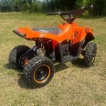 Anaheim Ducks Limited Edition 800W E ATV 72HR SALE - Image 9