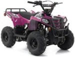 MINI COMMANDER 110CC AUTOMATIC ATV - Image 3