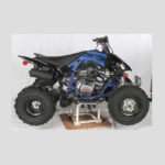 Vitacci Pentora 250 ATV for Sale - Image 2