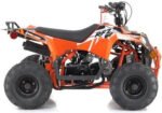 MINI COMMANDER 110CC AUTOMATIC ATV - Image 4