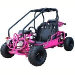 GK125 Automatic GO KART with Reverse - Image 2
