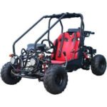 GK125 Automatic GO KART with Reverse - Image 4