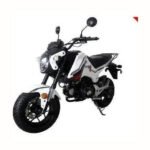 HELLCAT 125 4 Speed Manual GROM SCOOTER - Image 5
