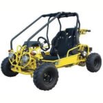 GK125 Automatic GO KART with Reverse - Image 5