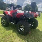 Linhai Big Buck  300cc 4x4 AUTOMATIC ATV W/ REVERSE - Image 11