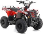 MINI COMMANDER 110CC AUTOMATIC ATV - Image 7