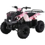 D125 Automatic ATV with Reverse - Image 2