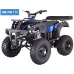 RHINO 250 Manual ATV with Reverse - Image 2
