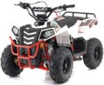 MINI COMMANDER 110CC AUTOMATIC ATV - Image 6