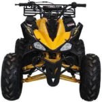 JET 9 125CC AUTOMATIC ATV - Image 10