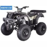 RHINO 250 Manual ATV with Reverse - Image 4