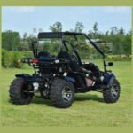VENTURE 200 EFI AUTOMATIC GOKART - Image 6
