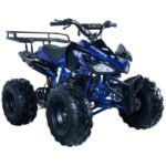 JET 9 125CC AUTOMATIC ATV - Image 12