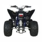 2025 ODES PENTORA EFI SPORT 176cc FULLY AUTOMATIC ATV - Image 16